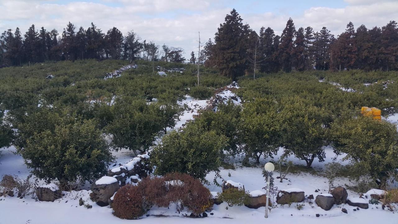 Jeju Mermuri Yerye-dong Exterior photo
